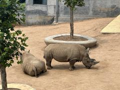 -西霞口神雕山野生动物世界