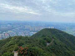 -杭州半山国家森林公园