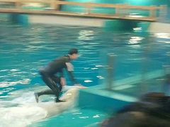 -威海华夏城景区