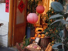 -三圣花乡旅游区