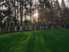 -合肥滨湖国家森林公园