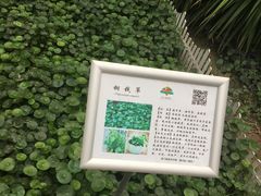 -晶宝温泉农庄