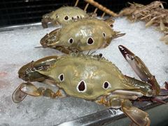 -盛宴自助餐厅(运达喜来登店)