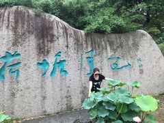 -荷塘月色湿地公园·向阳花洲