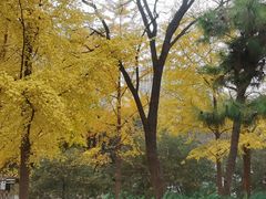 -元大都城垣遗址公园