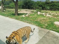 -西安秦岭野生动物园