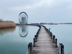 -太湖湖滨国家湿地公园-停车场