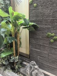 -芳朵美容养生SPA