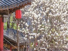 -碑林公园
