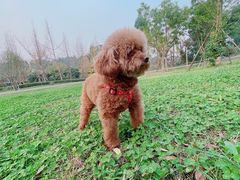 -白鹭湾湿地公园