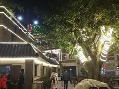 -老幺泉水鸡