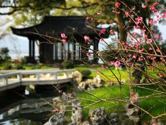 -杭州西湖柳莺里酒店