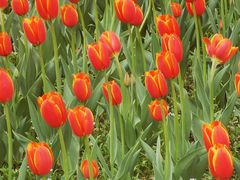 -长春公园(普阳街道)