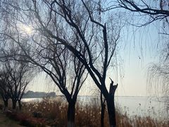 -西京湾花海