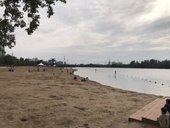 -淇河金沙滩