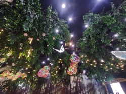点击看大图 -谛融婚礼酒店·宴会厅(花园店)