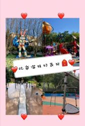 -酷酷兔少儿拓展天地