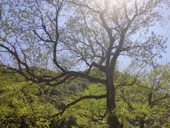 -宁波五龙潭景区