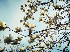 -苏州河梦清园环保主题公园