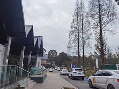 -三圣花乡旅游区