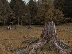 -硗碛藏寨·神木垒景区