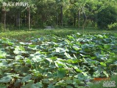 CIMG8088-上海怡沁园度假酒店