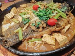 -老板恋上鱼(恒隆广场店)