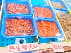 -大湾区中央湿地公园-十九涌