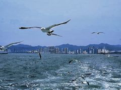 -刘公岛景区