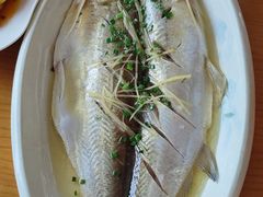 -品鲜村农家菜·阳澄湖大闸蟹(总店)