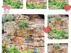 -北京西山国家森林公园