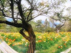 -名花谷生态庄园