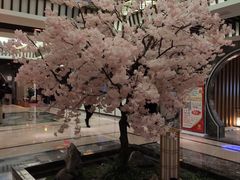 -添赐温泉馆(上南路店)