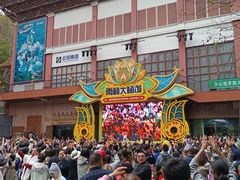 -西双版纳原始森林公园