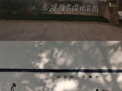 -西溪国家湿地公园