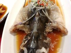 回鱼-双东酒店(东关街店)