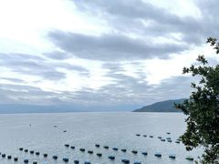 -抚仙湖禄充风景区