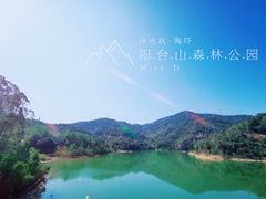 -阳台山森林公园