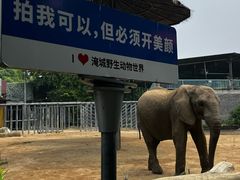 -常州淹城野生动物世界