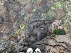 -龙头岩(Dragon Head Rock)