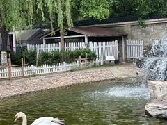 -北京市海淀外国语实验学校