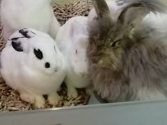 -大连圣亚海洋世界