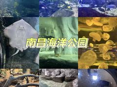-南昌海洋公园