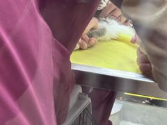 -瑞鹏宠物医院·宠保定点·心脏科·内科(御桥分院)