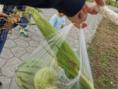 -七的湖·晚芳亭·阳澄湖农家菜·大闸蟹(莲花岛店)