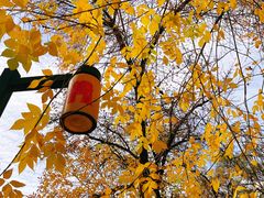 -圆明园遗址公园-藻园门售票处