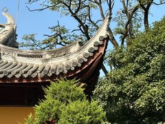 -龙华寺