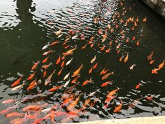 景点-威海华夏城景区