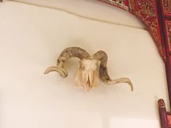 -福宝漠北·牛羊肉(广埠屯店)