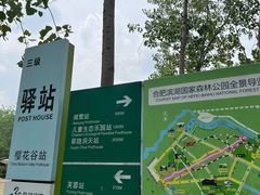 -合肥滨湖国家森林公园